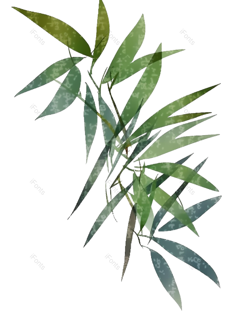 叶子图片,纹理元素,元素PNG,竹叶免抠素材
